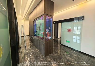 绿溢大厦鱼缸定制