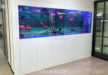旭建大厦鱼缸定制