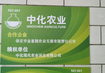 中化河北库