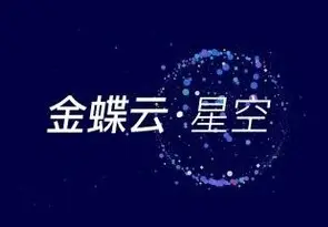 金蝶云星空