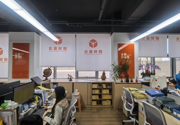 企盈财税：专业财税服务，为企业发展提供支持，助力财务无忧