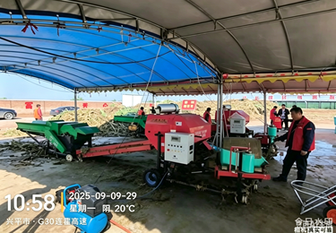 客户反馈全自动打捆包膜机现场作业