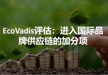珠三角电子制造企业・EcoVadis 评级提升