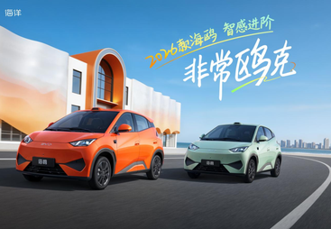 2026款海鸥智感进阶