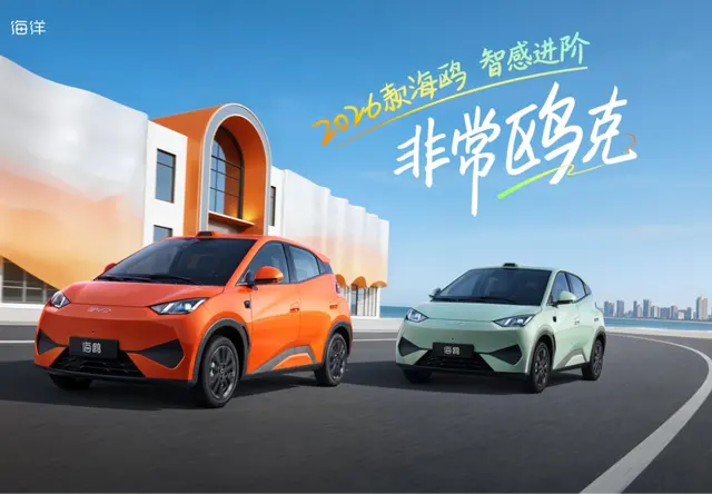 2026款海鸥智感进阶