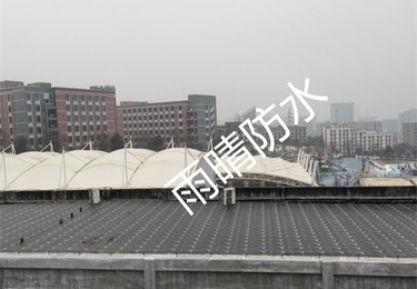 宜昌体育馆全民健身中心防水维修项目
