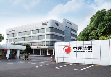 中顺洁柔