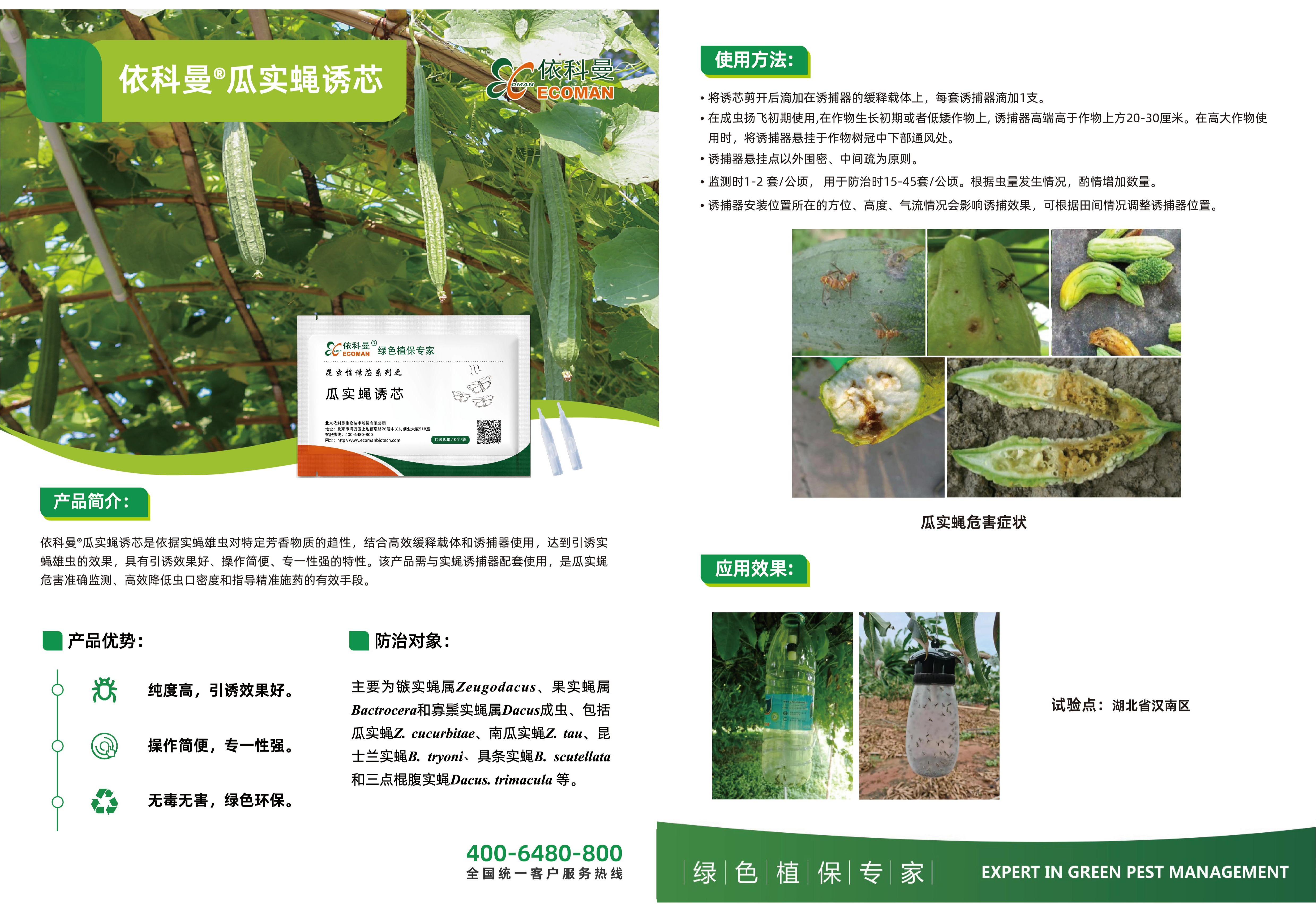 信息素