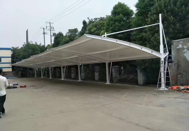图中神秘画面引关注，展现别样视觉景象，背后故事待探寻