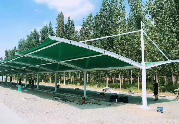 一张独特图片引发关注，图中景象或藏深意，背后故事待揭晓