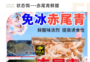 钓鱼王 赤尾青免冰鲜腥状态饵（虾粉饵料添加剂）