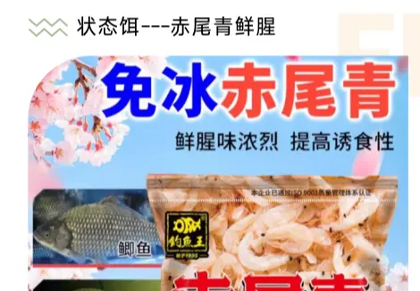 钓鱼王 赤尾青免冰鲜腥状态饵（虾粉饵料添加剂）