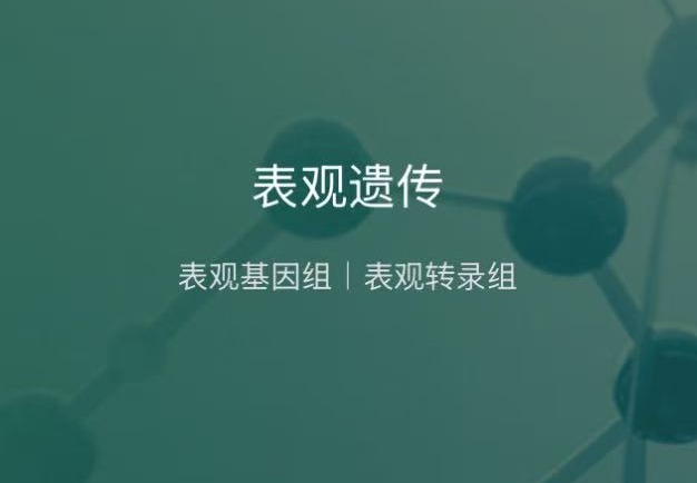 表观基因组学与转录组学服务：多技术检测，全流程支持，助力多领域表观机制解析