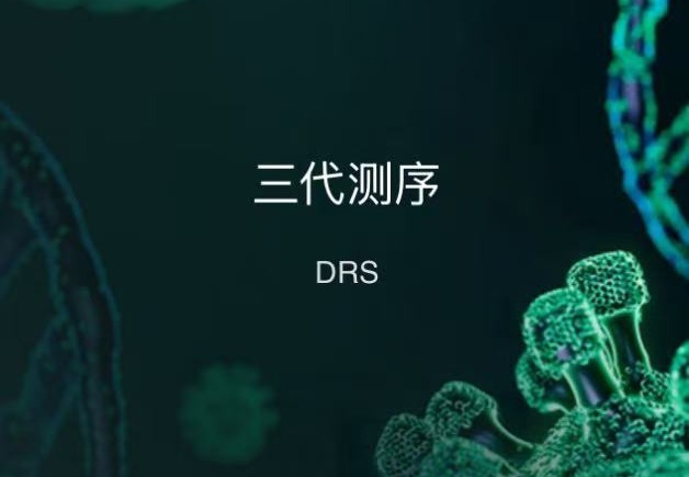 康测三代测序：双平台优势服务全流程，广泛适配多领域研究场景