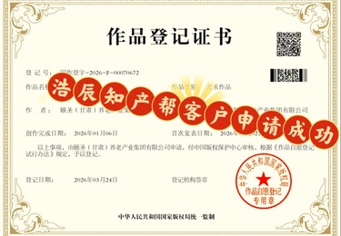 浩辰知识产权｜颐圣（甘肃）养老产业集团美术作品版权登记案例