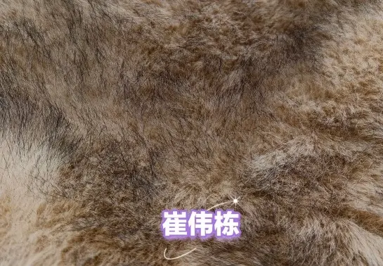 狐狸毛染尖