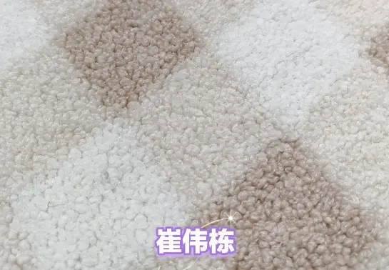 印花蚂蚁绒340GSM