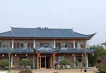 树脂瓦案例实拍