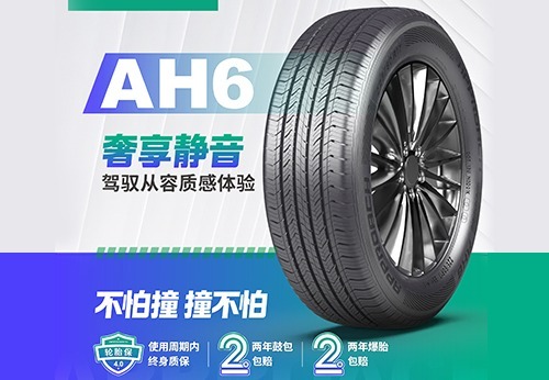 专业轮胎服务：安装检测适配售后全保障，更有新能源专属服务