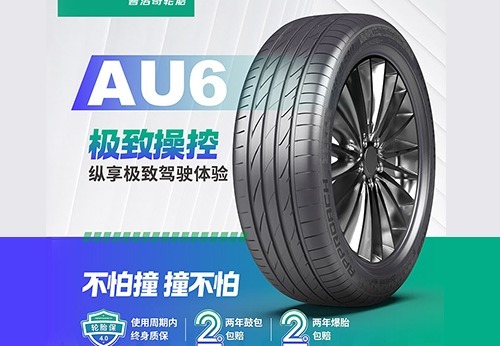 一站式轮胎服务：标准化安装、日常检测、规格适配及维保对接，还有用车养护指导