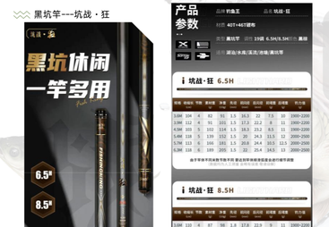 钓鱼王 坑战・狂（双硬度黑坑综合竿）