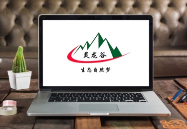 智启新营销！零点・讯灵 AI 助力灵龙谷客流与营收双增长