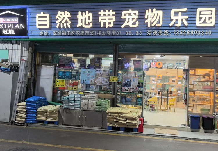深圳18年老牌实体猫舍，全品类纯种幼猫，健康有保障，售后暖心！