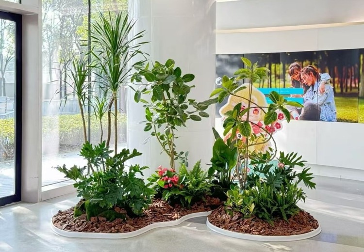 杭州专业花卉租赁，为多场所定制方案，全程养护，灵活换花提升环境格调
