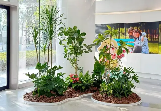花卉租赁