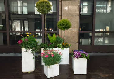 城北轻奢酒店户外景观 + 室内花艺租赁