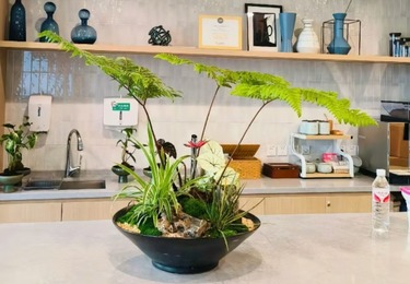 新店开业 / 展会临时花卉布置
