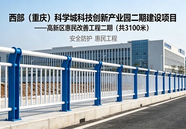 定制人行道护栏