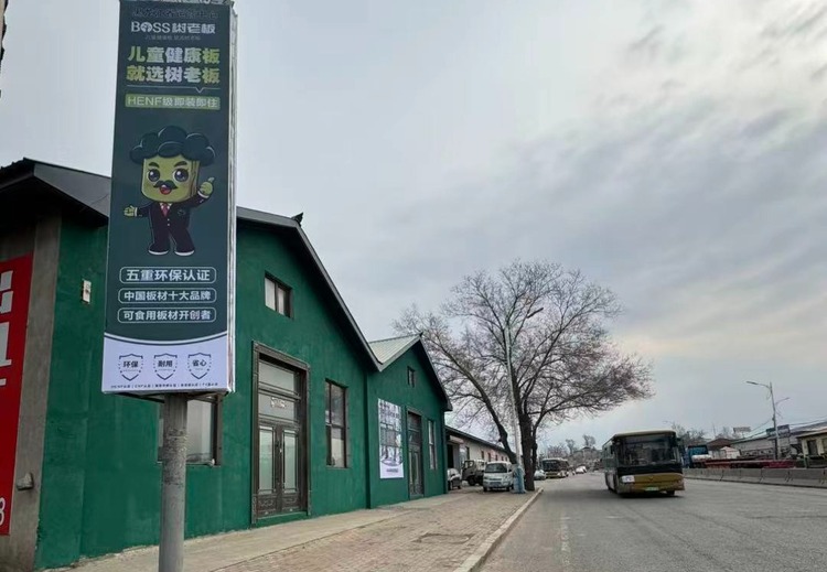 PST门板、桦香板、孕婴金橡板：环保耐用，适配不同场景，为家居定制添彩