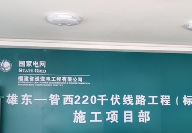 国家电网雄东昝西220千伏线路工程