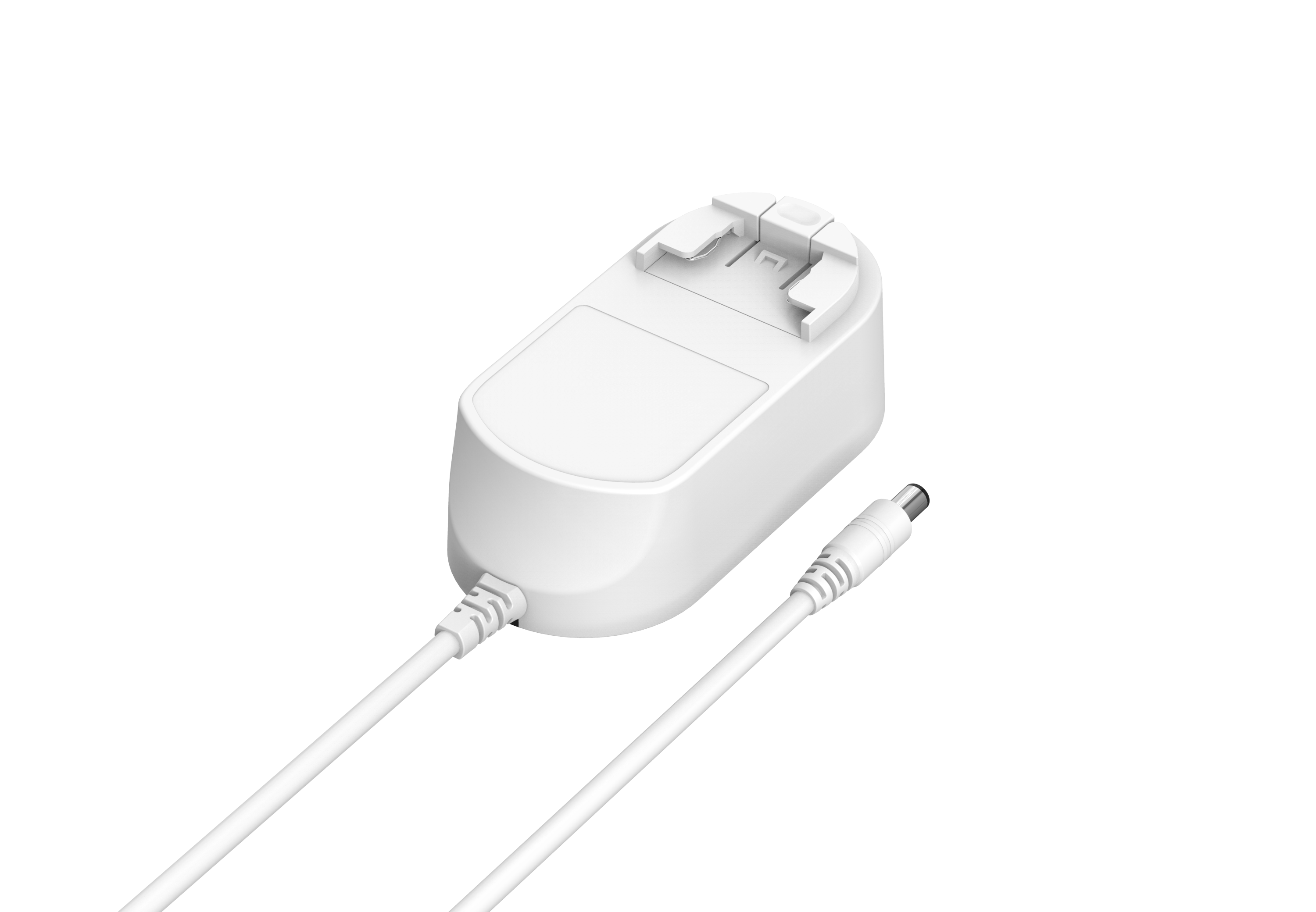 18W 插墙式转换脚电源适配器-SK01T8