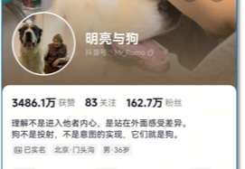 明亮与狗