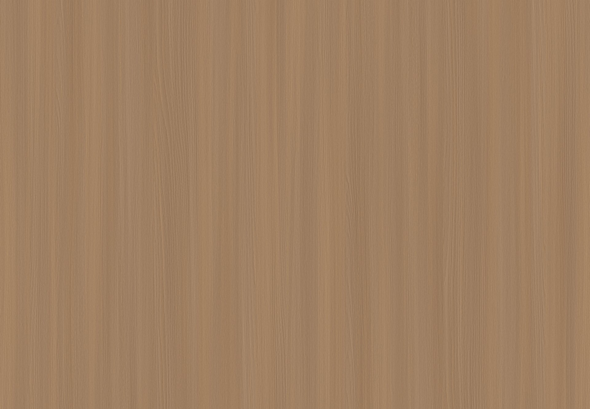 杉木系列