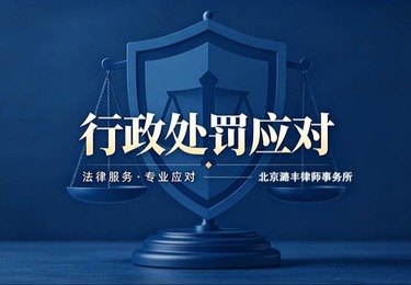 行政处罚应对案例