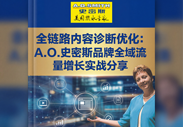 全链路内容诊断优化：A.O. 史密斯品牌全域流量增长实战分享