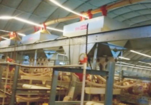 龙门式喂料