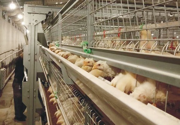 挎斗式喂料