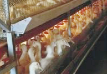 工程案例