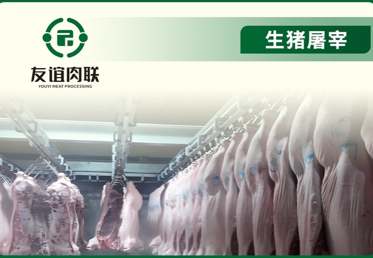 A 级生猪定点屠宰加工服务