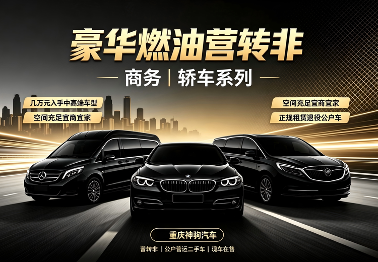豪华燃油营转非（商务/轿车系列）
