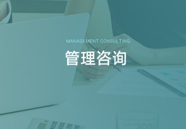 管理咨询