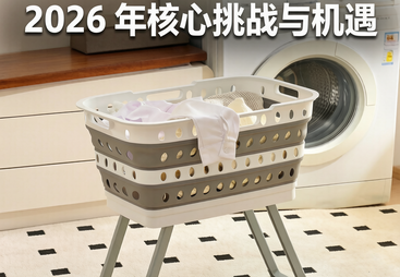 2026 年核心挑战与机遇