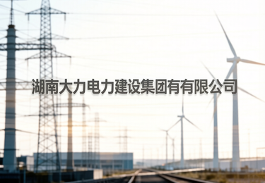 湖南大力电力建设集团有限公司