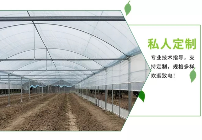 玻璃温室大棚