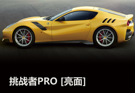 挑战者PRO[亮面]