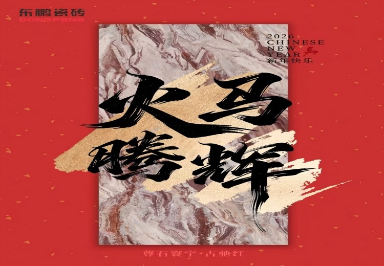 东鹏五行砖火系列